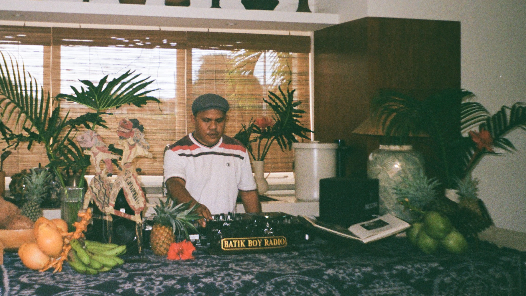 Person sitting at a table with various items including a pineapple and a radio, in a room with plants and a window.